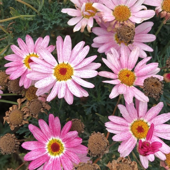 CLOSET CLOSING SALE 🎉 Make Me An Offer - Picture 2 of 2